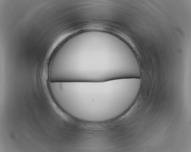 X0000114201131200910091043