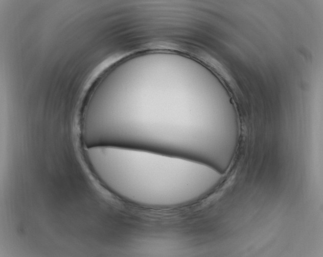 X0000114201133200910091043
