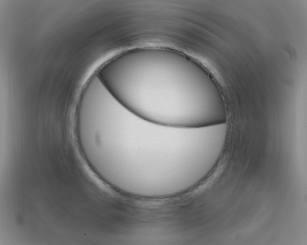 X0000114201134200910091043