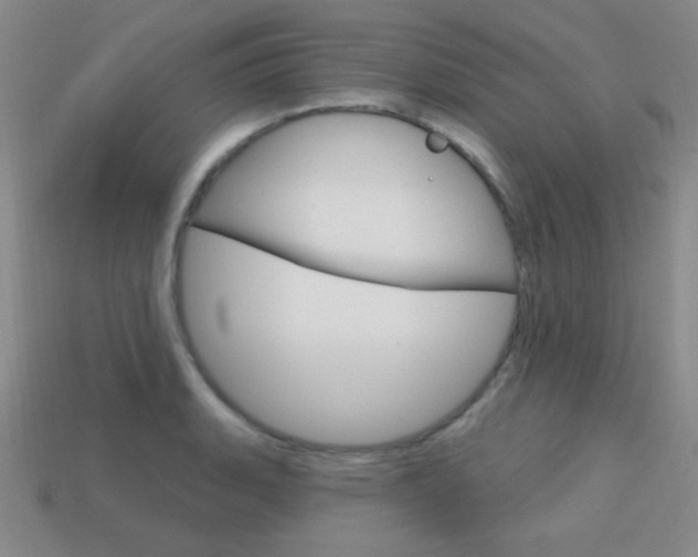X0000114201135200910091043