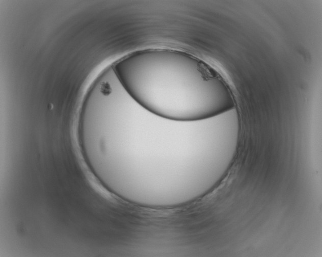 X0000114201136200910091043