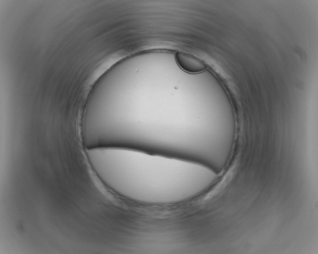 X0000114201137200910091043