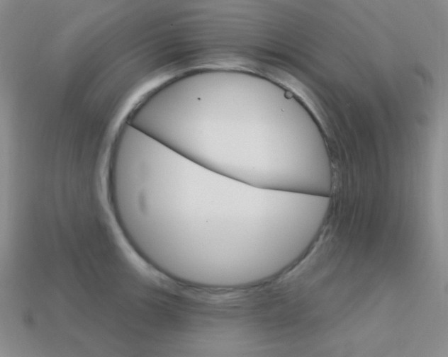 X0000114201139200910091043