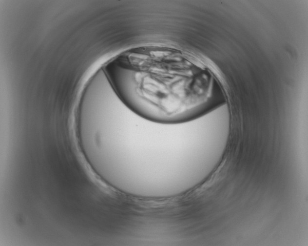 X0000114201144200910091043