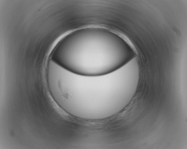 X0000114201148200910091043