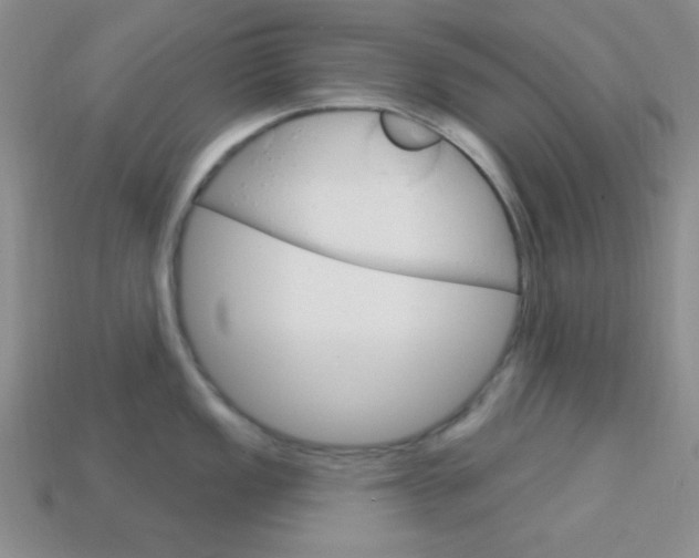 X0000114201149200910091043