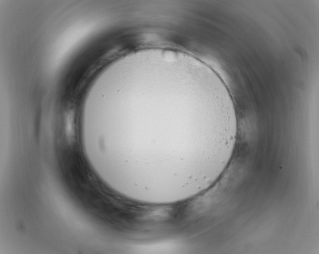 X0000114201150200910091043