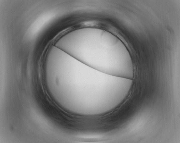 X0000114201151200910091043