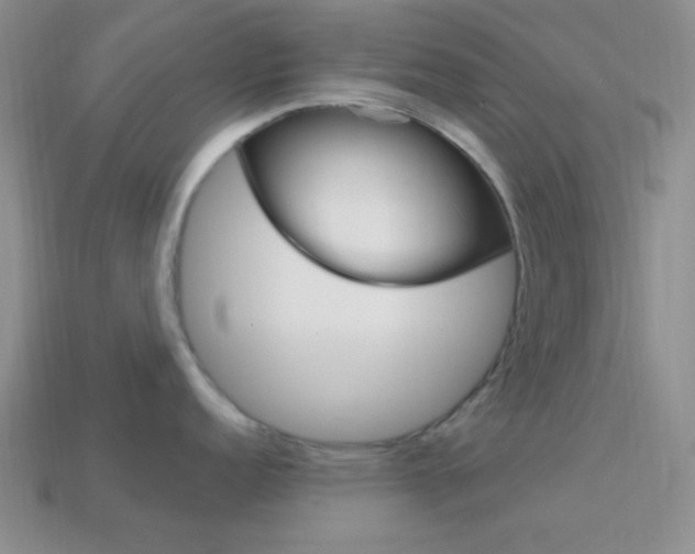 X0000114201152200910091043