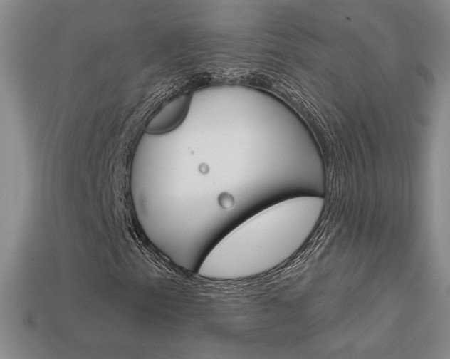 X0000114201153200910091042