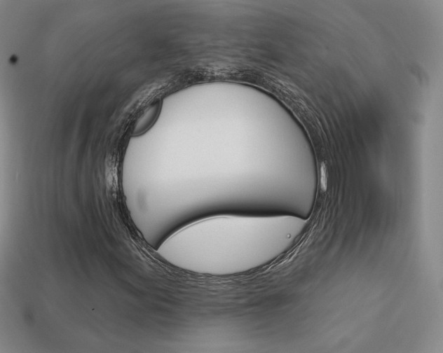 X0000114201155200910091042