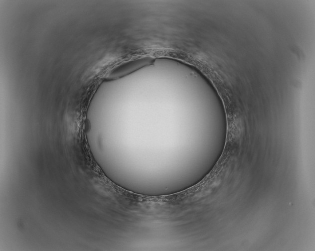 X0000114201157200910091042
