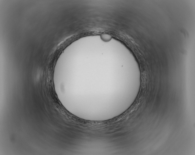 X0000114201158200910091042