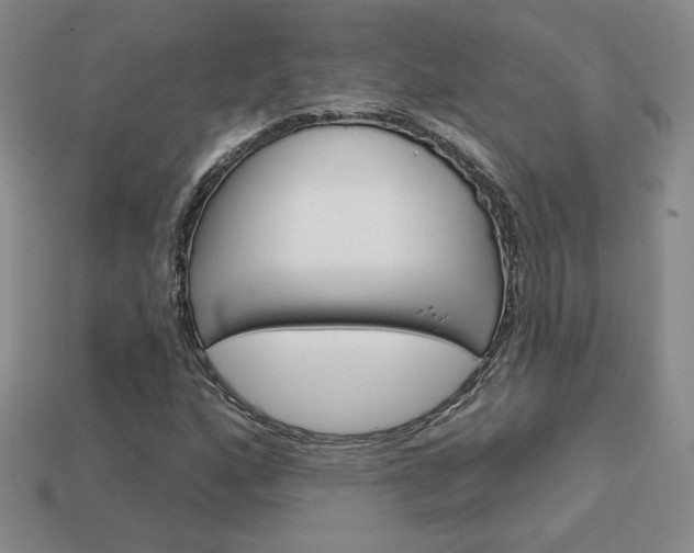 X0000114201160200910091042