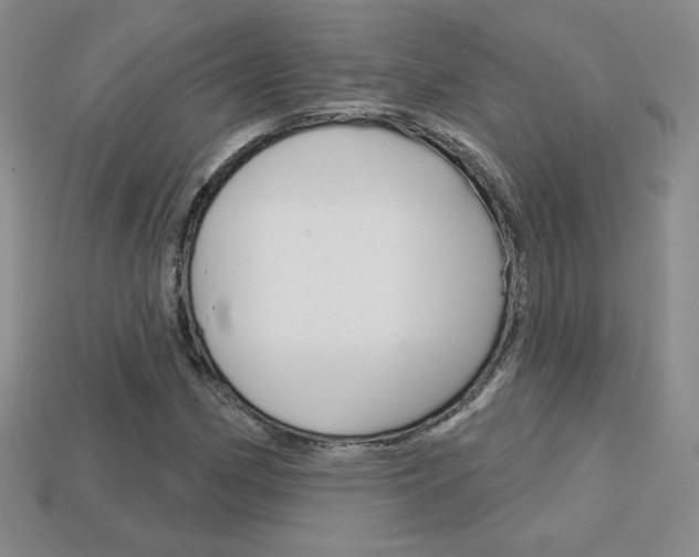 X0000114201162200910091042
