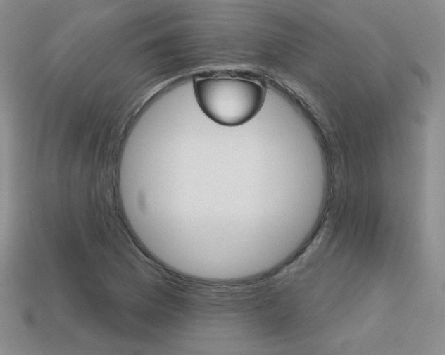 X0000114201169200910091042