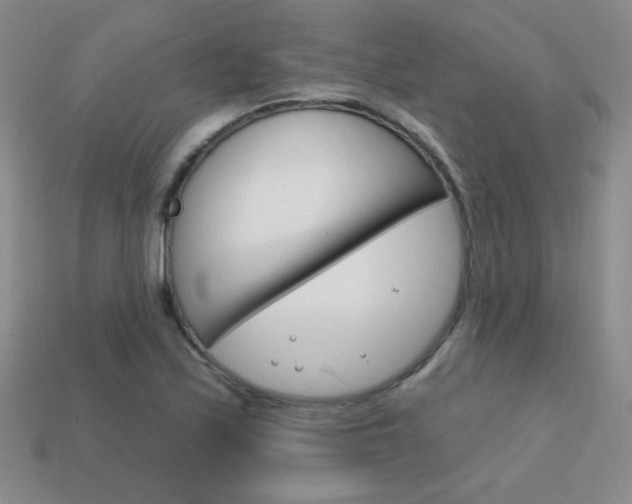 X0000114201171200910091042