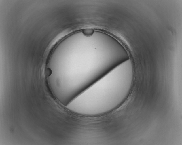 X0000114201173200910091042