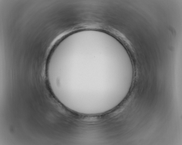 X0000114201174200910091042