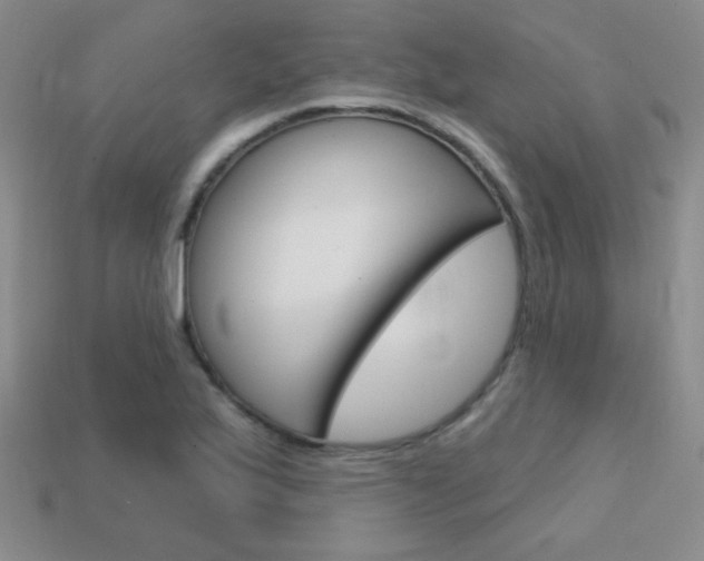 X0000114201175200910091042