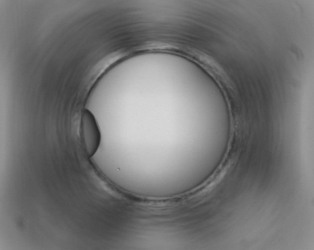 X0000114201177200910091042