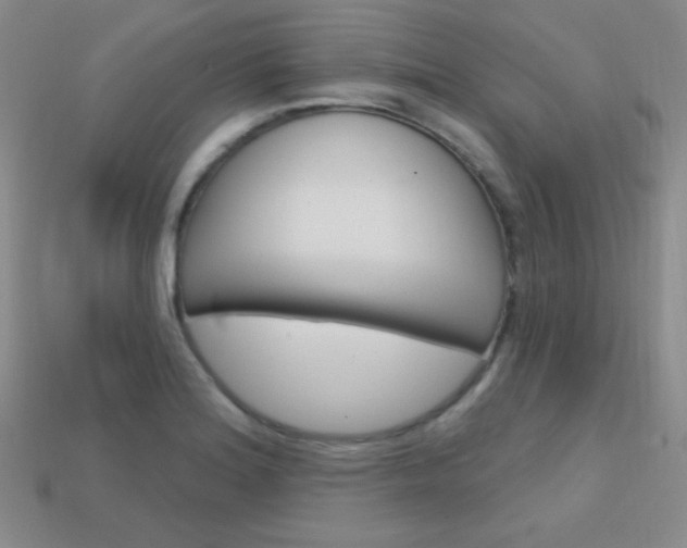 X0000114201180200910091042
