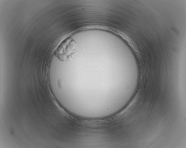 X0000114201185200910091042