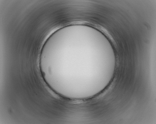 X0000114201186200910091042