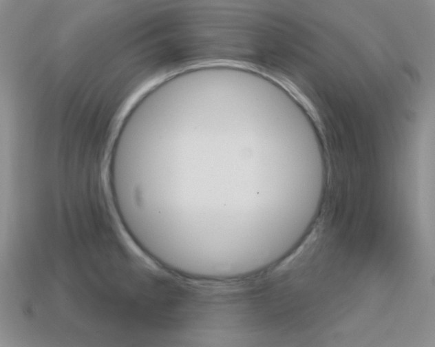 X0000114201189200910091042