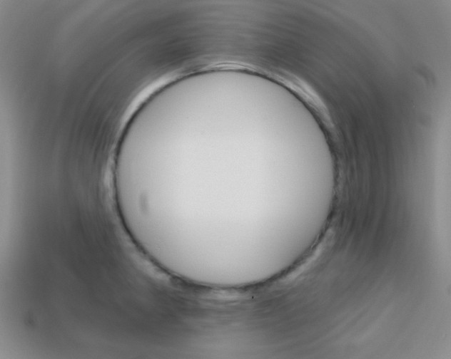 X0000114201190200910091042