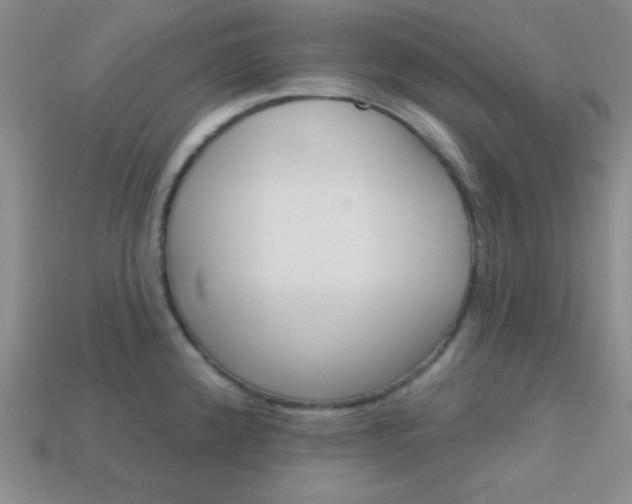 X0000114201192200910091042