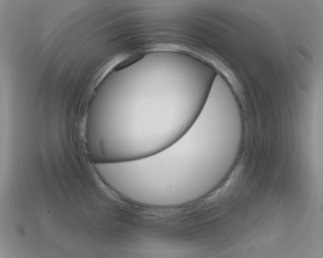 X0000114201193200910091042
