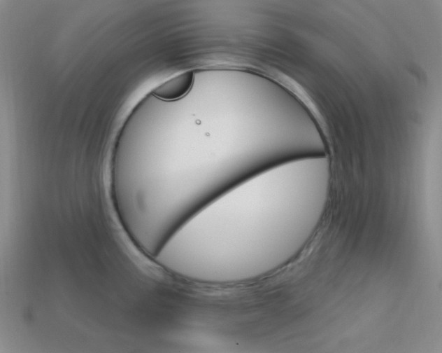 X0000114201195200910091042