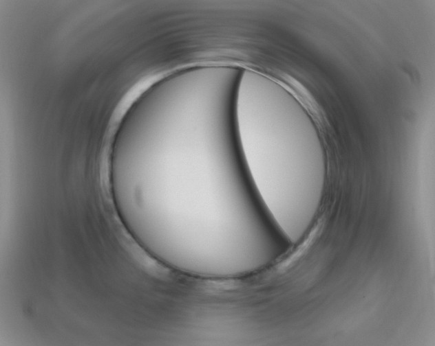 X0000114201196200910091042