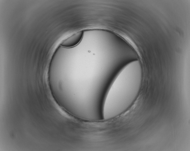 X0000114201197200910091042