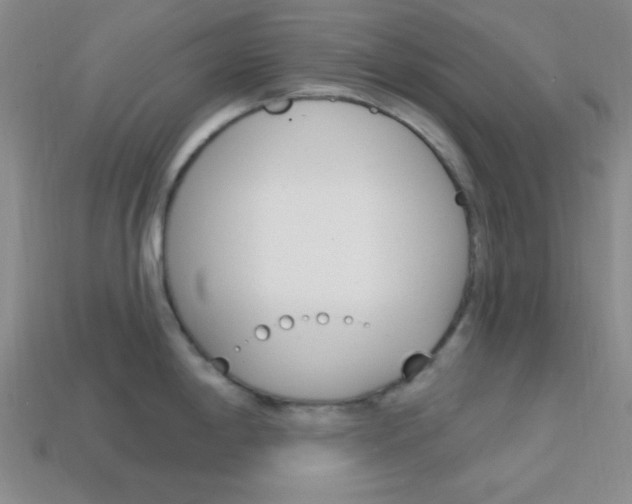 X0000114201198200910091042