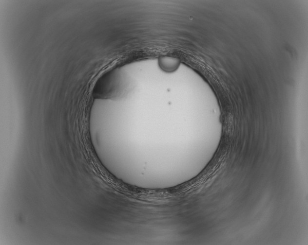 X0000114201201200910091041