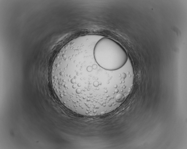 X0000114201205200910091041
