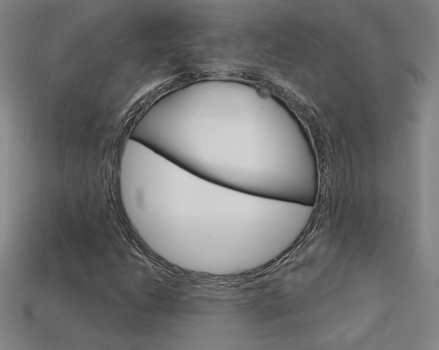 X0000114201206200910091041