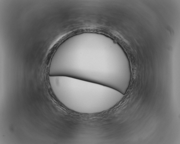 X0000114201208200910091041
