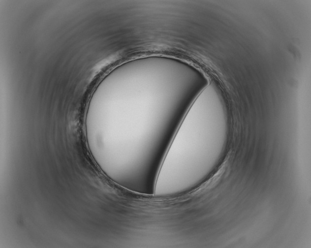 X0000114201210200910091041