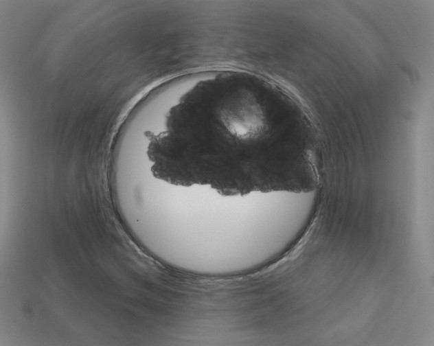 X0000114201212200910091041