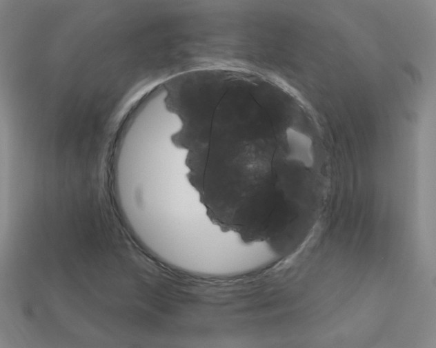 X0000114201215200910091041