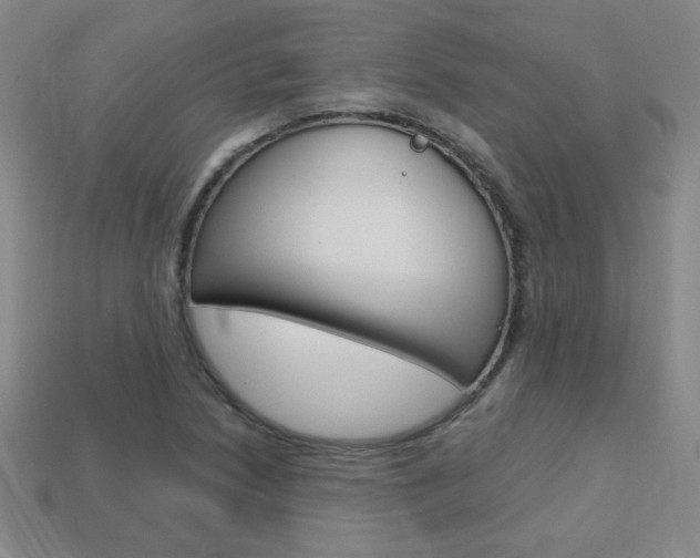 X0000114201218200910091042