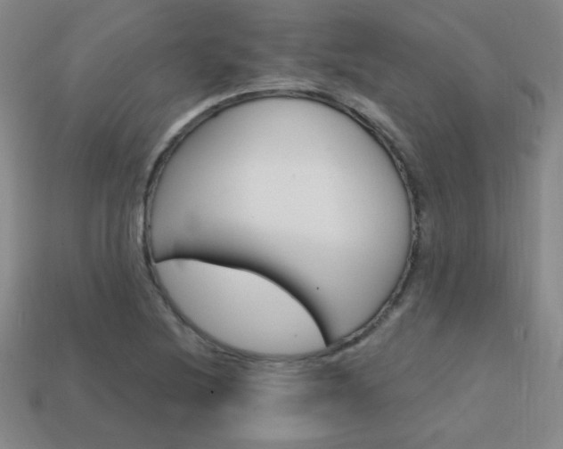 X0000114201220200910091042