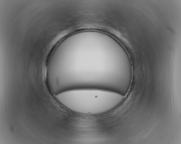 X0000114201221200910091042
