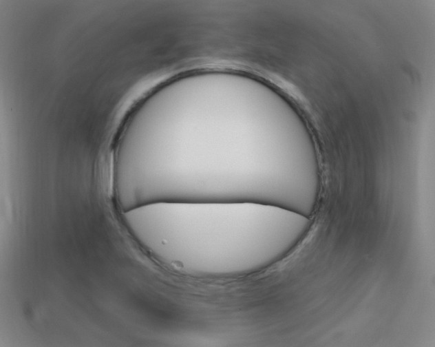 X0000114201223200910091042