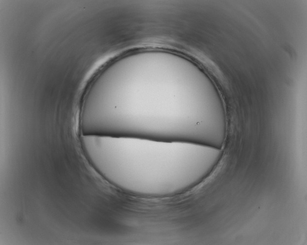 X0000114201224200910091042