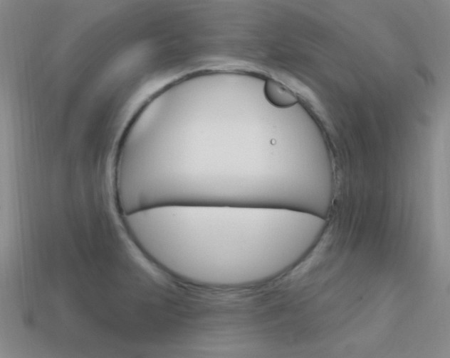 X0000114201231200910091042