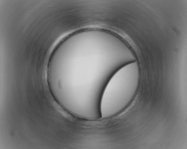 X0000114201232200910091042